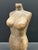 Wood Carved Solid Wood Late 20th Century Female Torso Sculpture #T978 For Sale - Image 7 of 10
