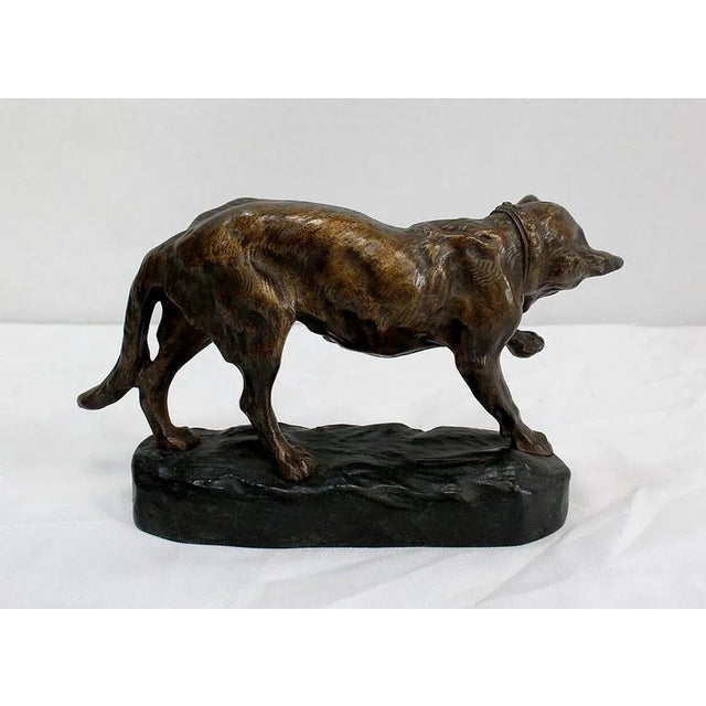 T.F. Cartier, German Shepherd Dog, Early 20th-Century, Bronze For Sale - Image 14 of 18