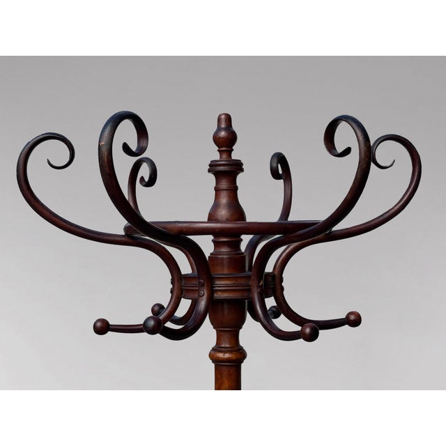 Bentwood Hat and Coat Stand from Fischel, 1890s For Sale - Image 9 of 11