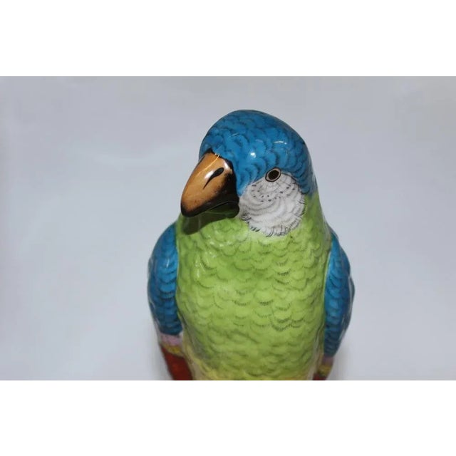 1940s Porcelain Parrot in the style of Meissen, 20th Century For Sale - Image 5 of 12