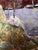 Oil Painting Moonlit Night Oksana Ivanyuk For Sale - Image 10 of 12