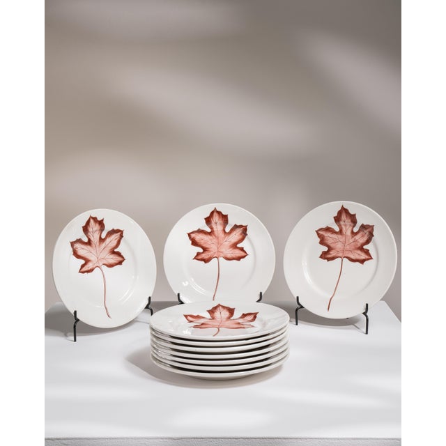 Mid 20th Century Italy White Porcelain Plate For Sale - Image 10 of 15