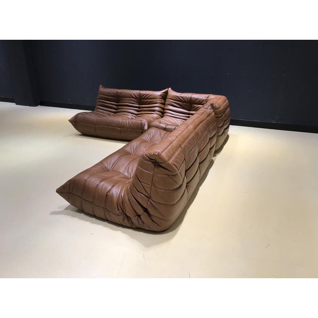 Togos Michel Ducaroy for Ligne Roset, Set of 3 For Sale - Image 15 of 18
