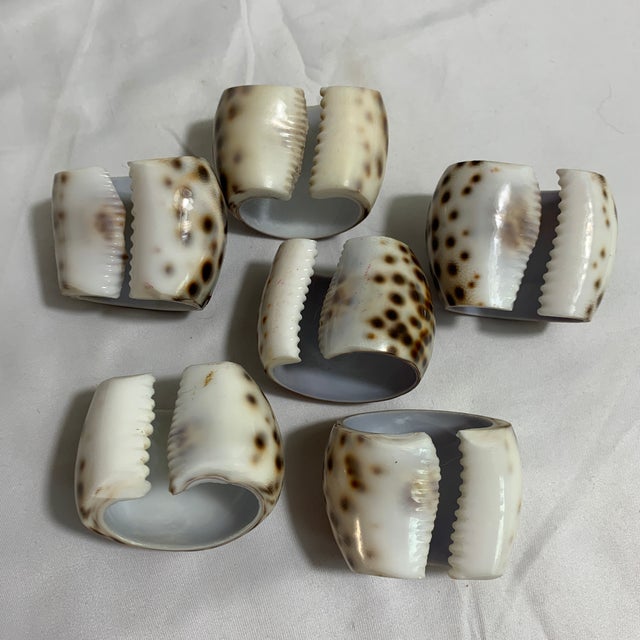 1970s Vintage Tiger Cowrie Shell Napkin Rings – Set of 6 For Sale - Image 5 of 5