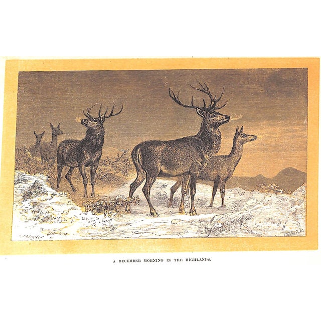 Mid 19th Century "Sport and Sportsmen: A Book of Recollections" 1866 Stretton, Charles For Sale - Image 5 of 5