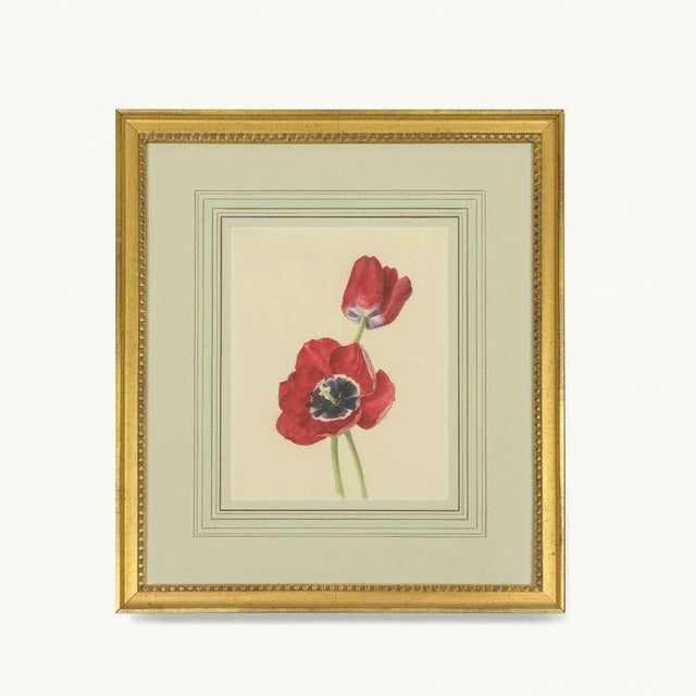 Early 20th Century Watercolor Painting of a Purple and White Parrot Tulip For Sale - Image 9 of 9