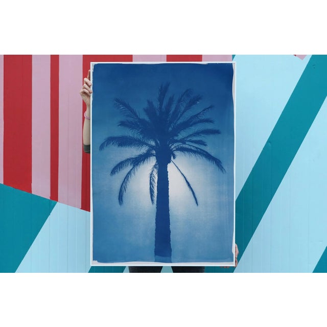 Paper 2020 Cairo Citadel Palm, Hand-Painted Cyanotype Print on Watercolor Paper For Sale - Image 7 of 12