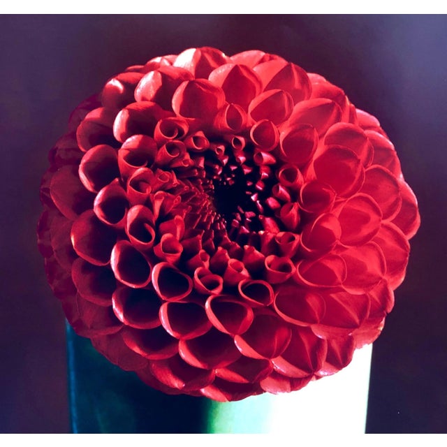 Red Dahlia, Flower, Floral Photo The Tappen House, Little Compton, RI (Rhode Island). Hand signed and numbered. small...