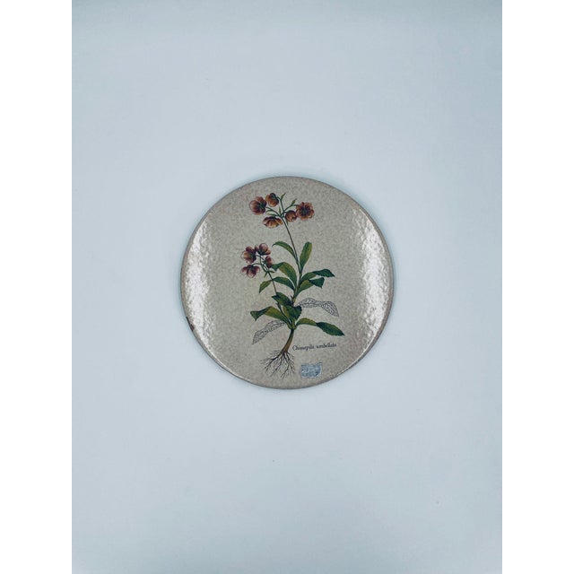 Italian Decorative Wall Plate, 1965 For Sale - Image 6 of 6