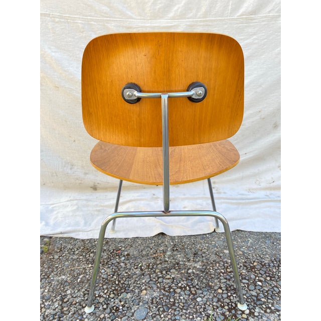 Wood Attributed Charles & Ray Eames for Herman Miller DCM Dining Chair, 1950s–1960s, Molded Birch Plywood For Sale - Image 7 of 12