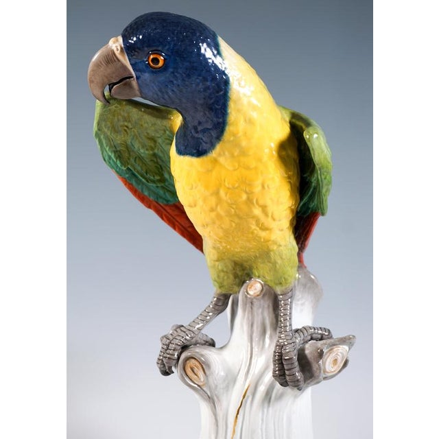 Ceramic Large Parrot on a Tree Trunk by J.J. Kaendler for Meissen, 1860 For Sale - Image 7 of 9
