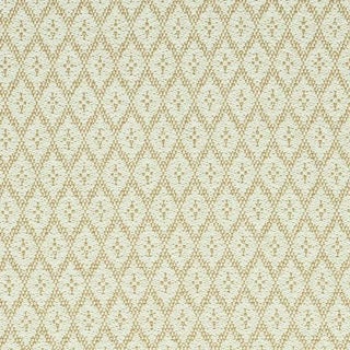 Schumacher Olmsted Indoor & Outdoor Fabric in Natural For Sale