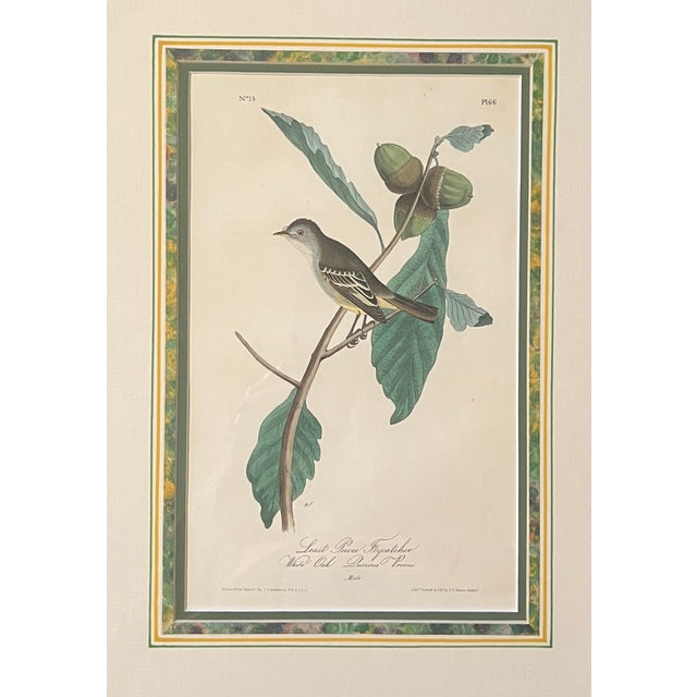 Mid 20th Century Audubon Birds of America (First Edition Royal Octavo) | Antique Prints of Rare Songbird Collection- Set of 4, Framed For Sale - Image 11 of 12