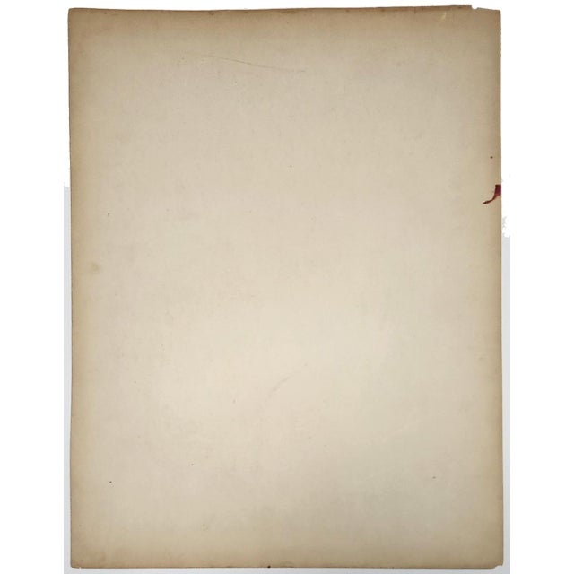 Original Seguy Insect From 1924 Antique Pochoir Plate #16 For Sale - Image 12 of 12