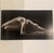 Vintage 1994 the Eternal Body : A Collection of Fifty Nudes by Ruth Bernhard Paperback Coffee Table Art Book For Sale - Image 11 of 11