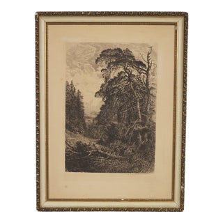 Antique English Grove of Trees Gnarled Pines Church Village Etching 17" For Sale