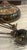Rare & Beautiful Large 20” Authentic Brass Makers Mark Qouizel Collectables “Inglenook”Design Tiffany-Style Inverted Bowl Chandelier For Sale - Image 6 of 9