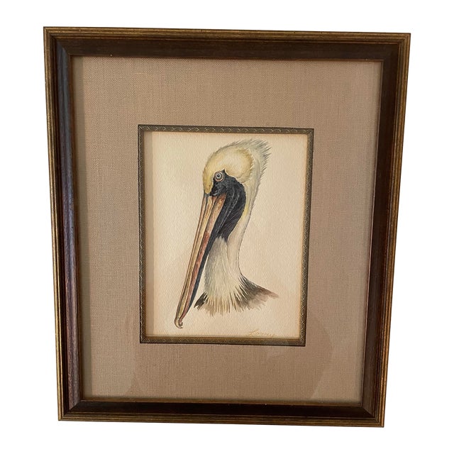 Hand Painted Watercolor of a Pelican Head, Framed For Sale