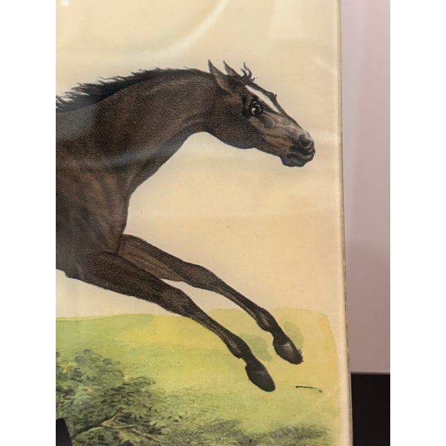 Authentic John Derian “Jumping Horse” letter tray in the 9 x 14 inch size. Handmade decoupage with collaged paper under...