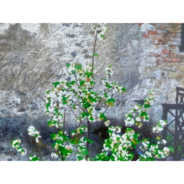 Gray Circa 2009 Ravi Anand Photography "Layers and Textures, Bratislava" Artist Print + Signed For Sale - Image 8 of 12