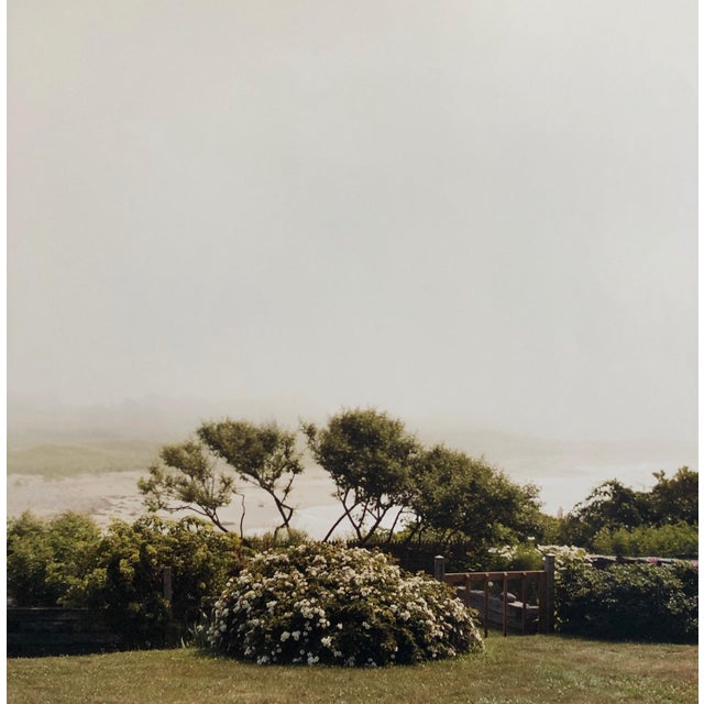American Peter C. Jones 1, Wild Roses, Large Format Photo 24X20 Color Photograph Beach House, 2004 For Sale - Image 3 of 5