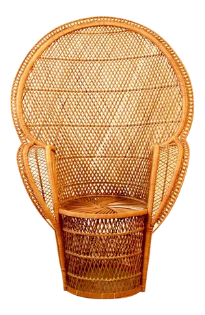 Vintage Beatrice Peacock Chair, Italy, 1970s