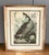 Pair of Vintage Framed Bird Illustration Lithographs by John James Audubon For Sale - Image 9 of 16