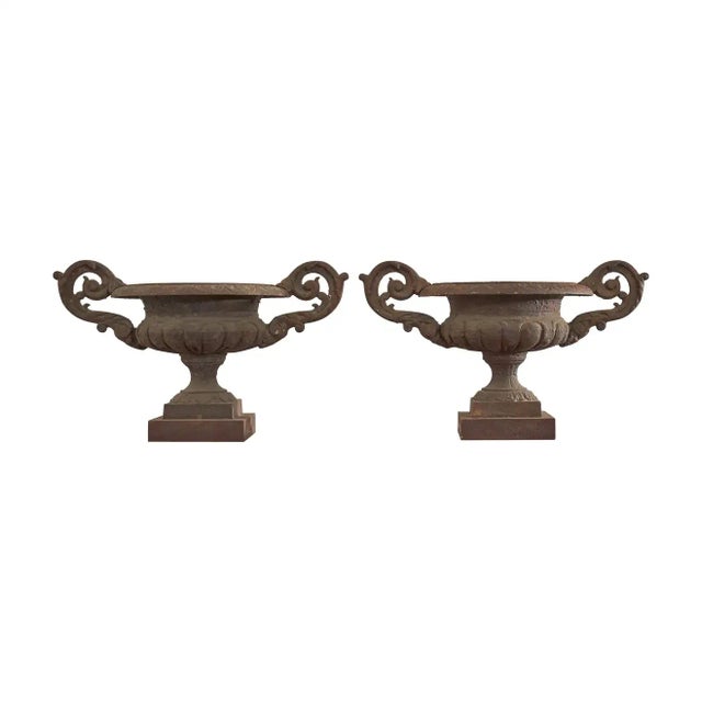 Pair of Diminutive English Cast Iron Urn Jardinaires For Sale - Image 13 of 13