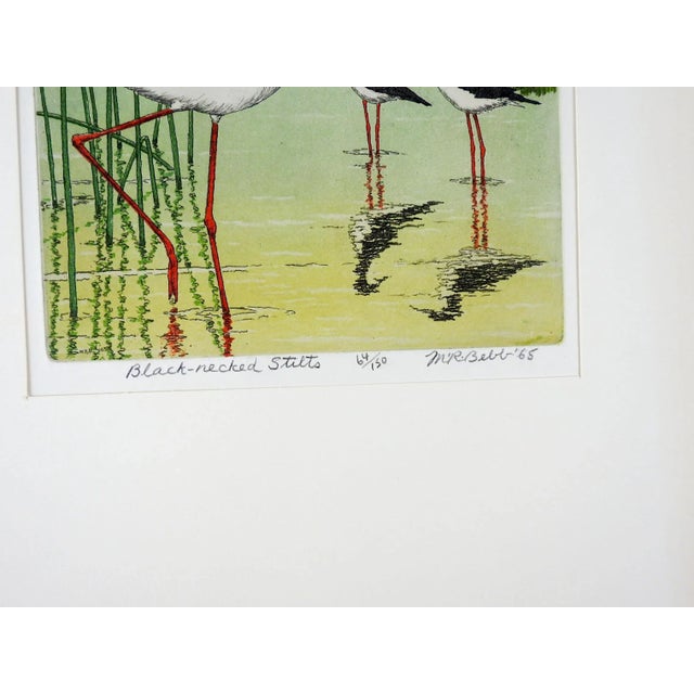 Vintage 1965 Maurice R. Bebbs (1891-1985) color aquatint etching on paper. Signed, titled Black-necked Stilts, numbered...