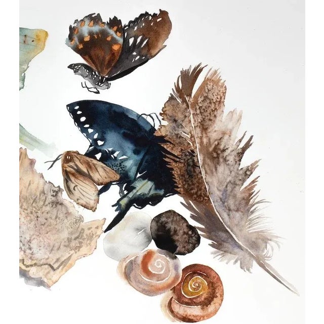 Realism "Nature Collection No. 1" Original Watercolor Realism Painting by Elizabeth Becker For Sale - Image 3 of 3