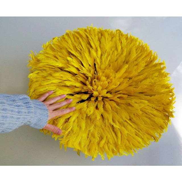 2020s Contemporary Home Décor Juju Hat Feathers in Yellow, 21 Century Wall Décor Feathers in Yellow For Sale - Image 5 of 6