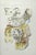 Small Intestine Diseases is a lithograph hand colored by Ottavio Muzzi for the edition of Antoine Chazal, Human Anatomy,...