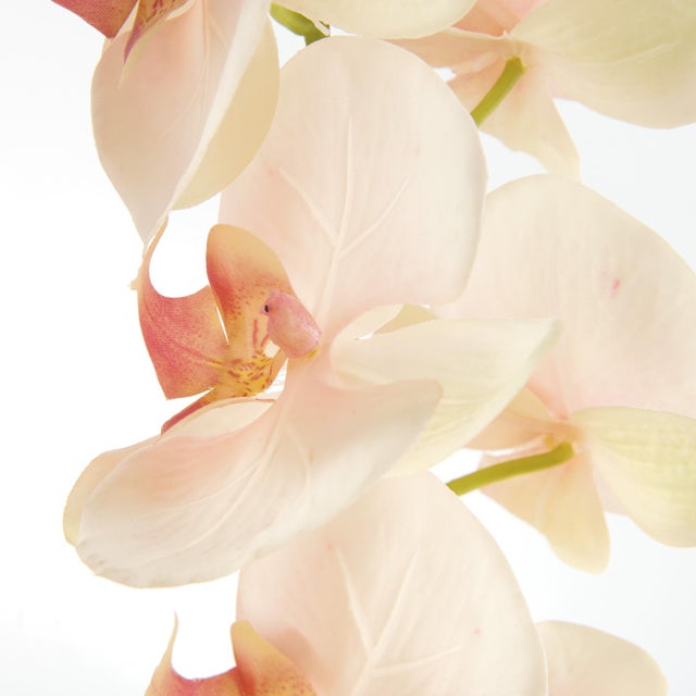 Realism Phalaenopsis Orchid Stems 28" St/4 For Sale - Image 3 of 4