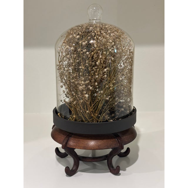 Cabinet of Curiosities Glass Cloche With Bird’s Nest Wrapped in Dried Gypsophila on Decorative Asian Wooden Stand For Sale - Image 14 of 15
