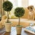 Real English boxwoods, preserved and painstakingly assembled by our masterful artists. Artfully arranged and preserved to...