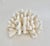 This large natural Pacific Elk coral has very good symmetry and weight. The unique organic texture and bright white color...