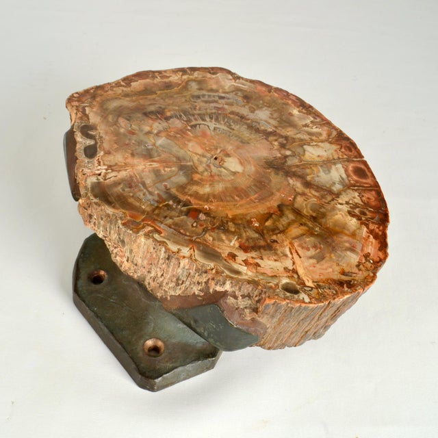 1970s Architectural Push Pull Door Handle in Petrified Wood and Bronze, 1970s For Sale - Image 5 of 15
