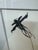 Black Isabel Wyatt Black Flower Original Painting, Signed For Sale - Image 8 of 12