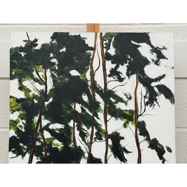 Tall Riverside Pine Trees in the English Countryside with dappled light & water 2009 For Sale - Image 14 of 16