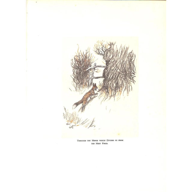 "Ratcatcher to-Scarlet" 1927 Aldin, Cecil For Sale - Image 13 of 14