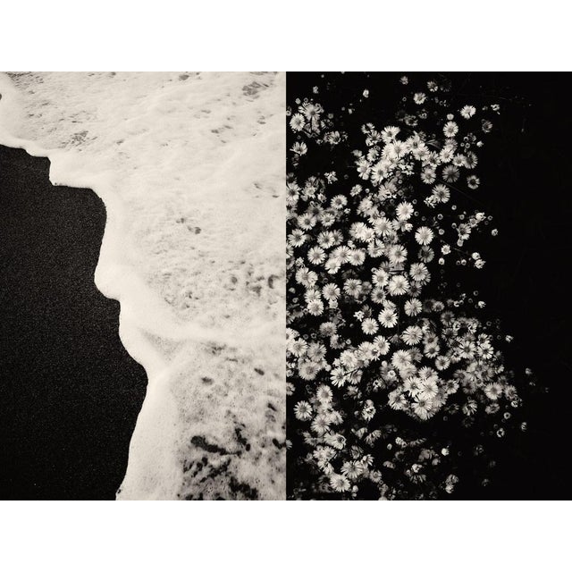 Gaia Diptych #1 by Jaume Llorens Bach is a 18cm x 24cm Black and White print on Premio Kozo gsm White Paper by Awagami...