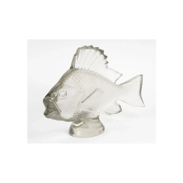 Large Fish with Algae by René Lalique, 1922 For Sale - Image 6 of 10