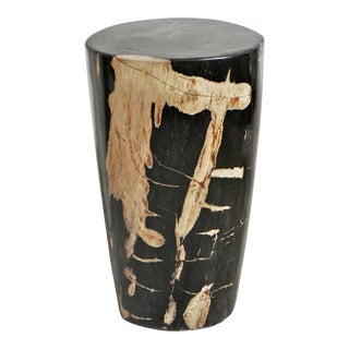 Petrified Wood Stump Side Table For Sale