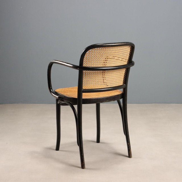 Thonet-Style Chair with Beech Wood Frame For Sale - Image 10 of 11