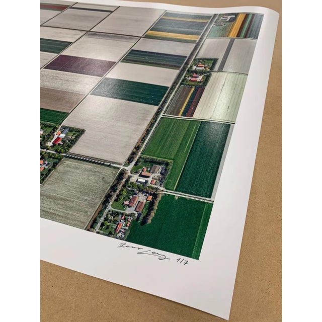 Bernhard Lang, av_tulip_fields_001, Limited Edition Fine Art Photograph Print For Sale - Image 11 of 14