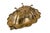 Vintage Antique Hammered Brass Rococo Revival Footed Bowl For Sale - Image 9 of 14