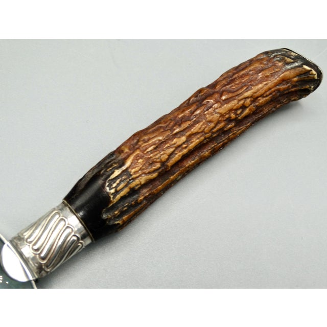 Brown Antique Sterling Silver & Stag Horn Magnifying Glass Hallmarks For Sale - Image 8 of 8