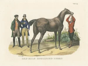 English Horse, 1827, Paper