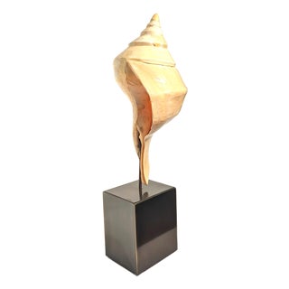 Syrinx Aruanus Australian Trumpet Conch Shell on Stand For Sale