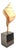 Syrinx Aruanus Australian Trumpet Conch Shell on Stand For Sale